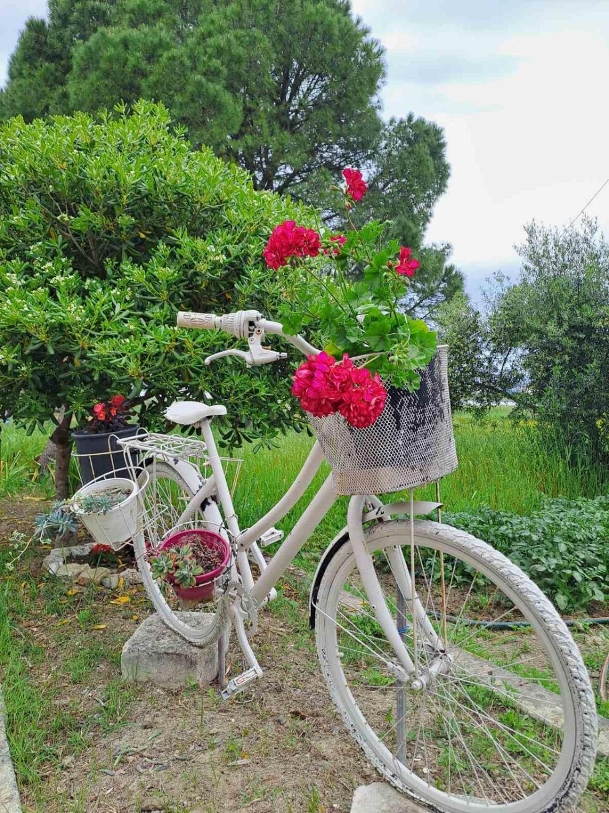 Appartamento Corfu Oasis Stratia